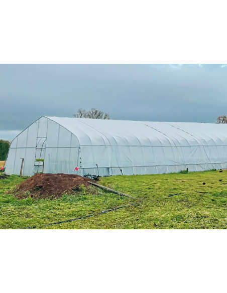 Invernadero Túnel Armable 100mts2 (12.5X8X3)MTS.